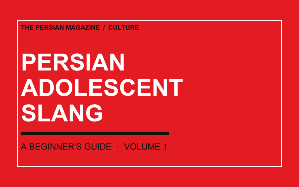 A Beginner’s Guide to Persian Adolescent Slang, Volume 1